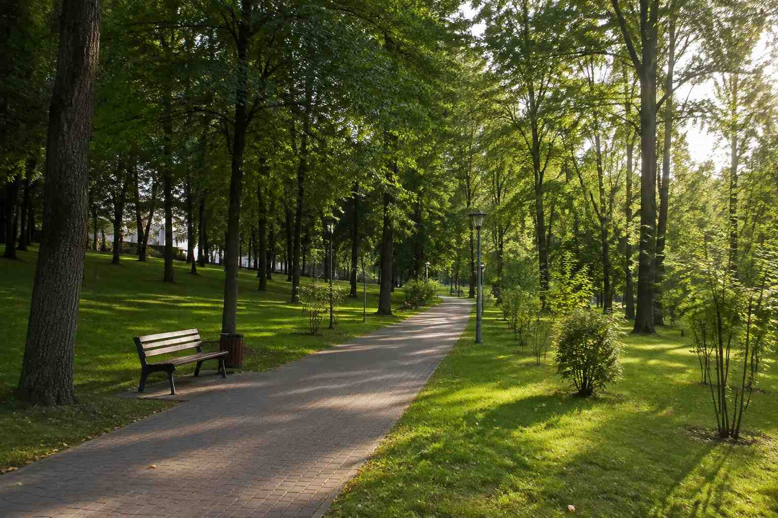 https://voronezh.blago-s.ru/storage/app/uploads/public/6a7/eef/ed2/6a7eefed2af22038960370.jpg